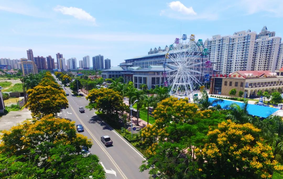 组图丨儋州洋浦砥砺奋进这五年